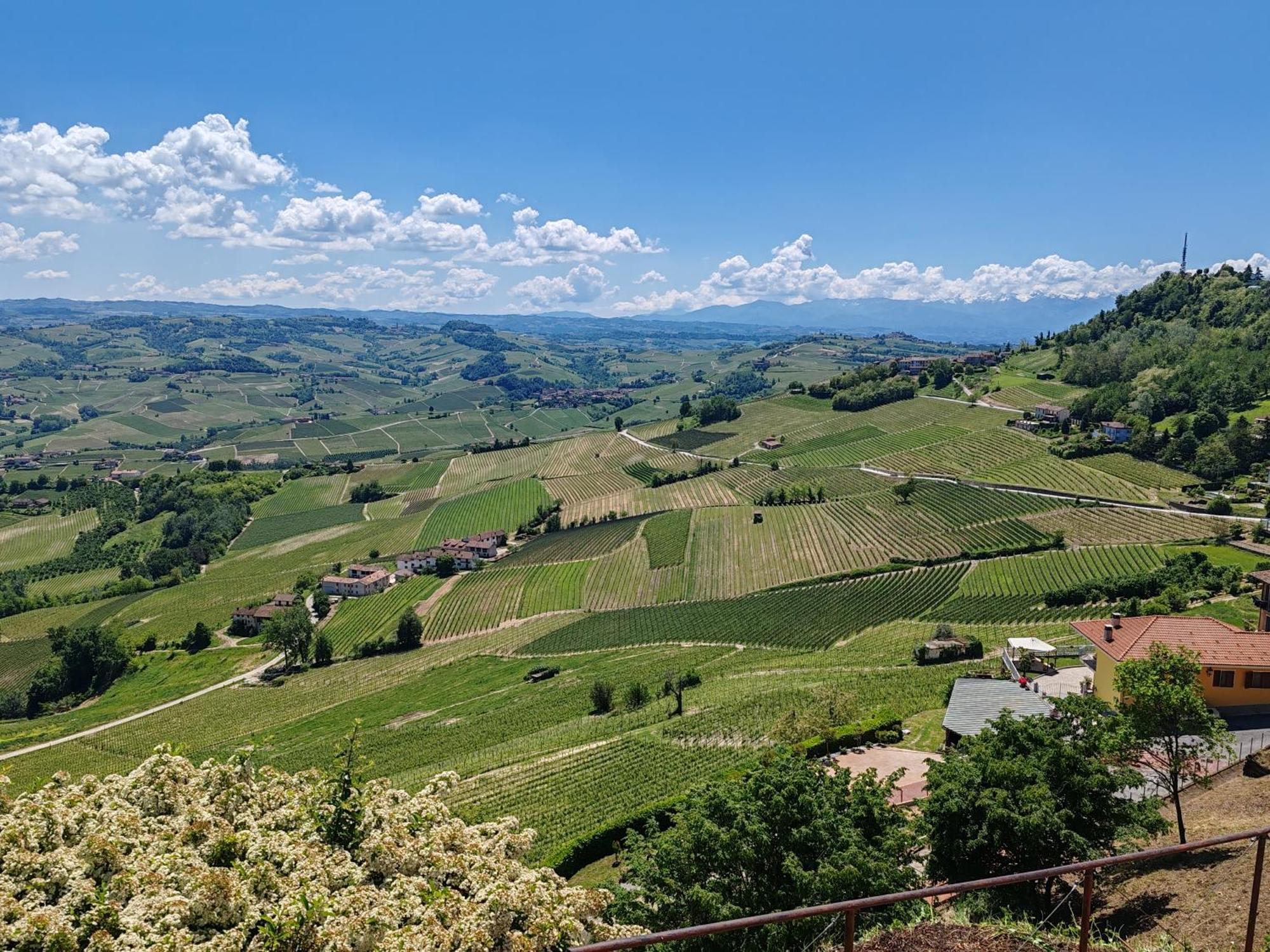 Appartement Tour In Langhe à La Morra Extérieur photo